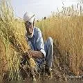 ਕਿਸਾਨਾਂ ਲਈ ਨਵੀਂ ਯੋਜਨਾ, ਹੁਣ ਮਿਲੇਗਾ 6 ਲੱਖ ਰੁਪਏ ਤੱਕ ਦਾ ਕਰਜ਼ਾ