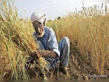 ਕਿਸਾਨਾਂ ਲਈ ਨਵੀਂ ਯੋਜਨਾ, ਹੁਣ ਮਿਲੇਗਾ 6 ਲੱਖ ਰੁਪਏ ਤੱਕ ਦਾ ਕਰਜ਼ਾ