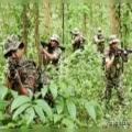 Most-Wanted Lashkar-e-Taiba Terrorist Killed in Encounter in Budgam