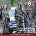 Jammu and Kashmir: Four Terrorists, Including Lashkar Commander, Killed in LoC Infiltration Bid