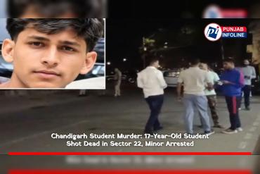 Chandigarh Student Murder: 17-Year-Old Student Shot Dead in Sector 22, Minor Arrested