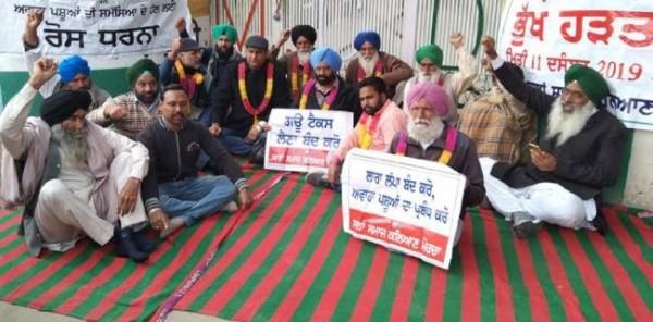 बेसहारा पशुओं की समस्या नहीं हुई हल, भूख हड़ताल जारी