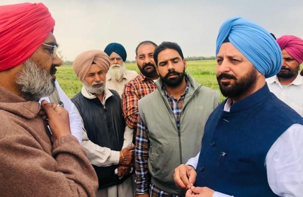 ਹਲਕਾ ਸਮਾਣਾ 'ਚ ਗੜੇਮਾਰੀ ਕਾਰਨ ਖਰਾਬ ਹੋਈਆਂ ਫਸਲਾਂ ਦੀ ਵਿਸ਼ੇਸ਼ ਗਿਰਦਾਵਰੀ ਕਰਵਾਈ ਜਾਵੇਗੀ-ਐਮ.ਐਲ.ਏ. ਰਾਜਿੰਦਰ ਸਿੰਘ