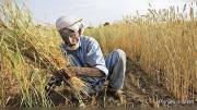 ਕਿਸਾਨਾਂ ਲਈ ਨਵੀਂ ਯੋਜਨਾ, ਹੁਣ ਮਿਲੇਗਾ 6 ਲੱਖ ਰੁਪਏ ਤੱਕ ਦਾ ਕਰਜ਼ਾ